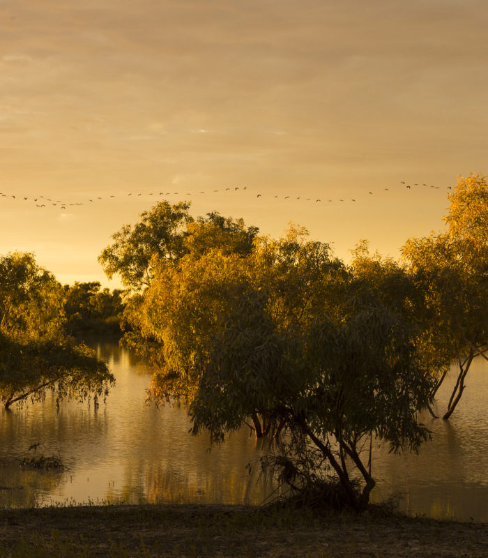 lake eyre tours from sydney