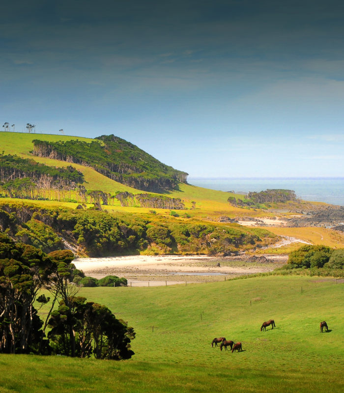 king island tour