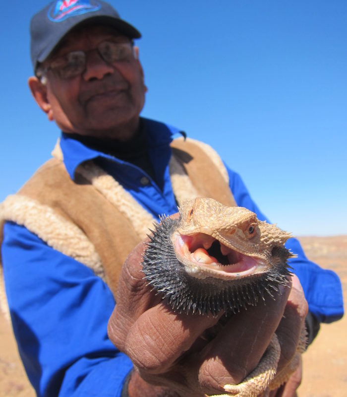 lake eyre tours from sydney