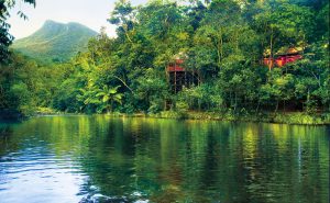 Silky Oaks Lodge - The Daintree
