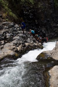 Air Adventure, Wings Over Tanzania